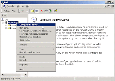 How to Install and Configure DNS in Windows Server