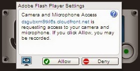 click allow to access your Camera and Microphone
