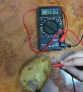 testing the integrity of the network cable with potatoes